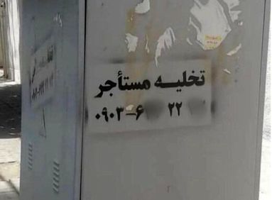 شرخرها بلای جان مستاجرها