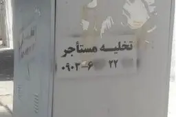 شرخرها بلای جان مستاجرها