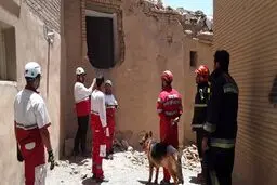 هیچکس زیرآوارگیرنکرده بود