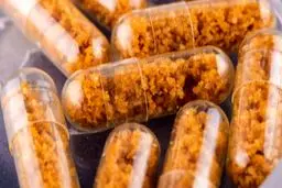 پیشنهاد دانشمندان: مدفوع خود را برای استفاده در آینده ذخیره کنید