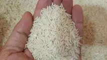 خودکفایی تولید برنج در داخل شدنی است