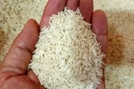 خودکفایی تولید برنج در داخل شدنی است