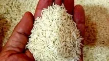 خودکفایی تولید برنج در داخل شدنی است