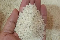 خودکفایی تولید برنج در داخل شدنی است