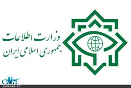 فضای مجازی بلای خانمان سوز است