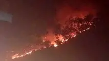 آتش سوزی گسترده در منطقه حفاظت شده خائیز