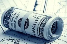 حذف ارز ترجیحی اقدامی شجاعانه بود
