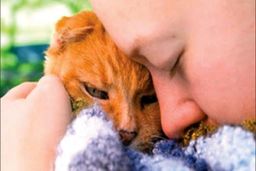 حیواناتی که عضوی از خانواده می‌شوند