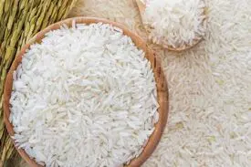 برنج ارزان شد