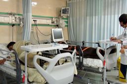 اخبار ضد و نقیض از وجود «سم یونجه» در شربت نذری