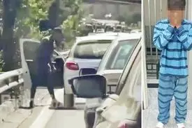 برای سرقت به دنبال این دو جنس هستیم