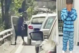برای سرقت به دنبال این دو جنس هستیم