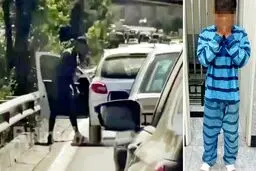 برای سرقت به دنبال این دو جنس هستیم