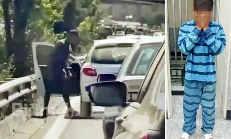 برای سرقت به دنبال این دو جنس هستیم