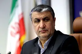 ایران تبدیل به قطب ساخت نیروگاه‌های اتمی خواهد شد