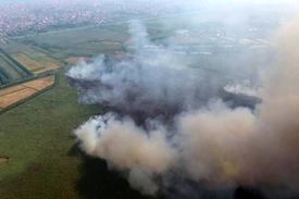 قصه معصومیت یک تالاب