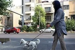 شغل سگ گردانی با حقوق ۷ میلیونی