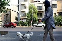 شغل سگ گردانی با حقوق ۷ میلیونی