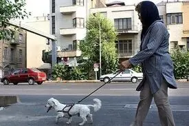 شغل سگ گردانی با حقوق ۷ میلیونی