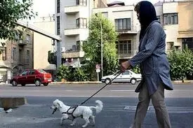 شغل سگ گردانی با حقوق ۷ میلیونی