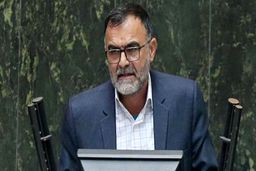 نماینده مجلس: سلبریتی ها باید محاکمه شوند