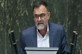 نماینده مجلس: سلبریتی ها باید محاکمه شوند