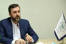 بهنام نجفی کیست؟ / معاون امور بین‌الملل قوه قضائیه خواستار استرداد او شد