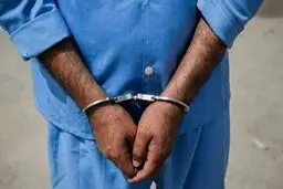 بازداشت یکی از عوامل ضد امنیتی در اردبیل
