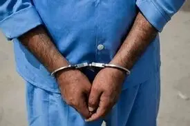 بازداشت یکی از عوامل ضد امنیتی در اردبیل