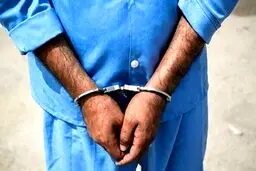 بازداشت یکی از عوامل ضد امنیتی در اردبیل