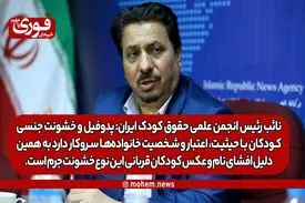نائب رئیس انجمن علمی حقوق کودک ایران: پدوفیل و خشونت جنسی کودکان با حیثیت، اعتبار و شخصیت خانواده‌ها سروکار دارد به همین دلیل افشای نام و عکس کودکان قربانی این نوع خشونت جرم است.