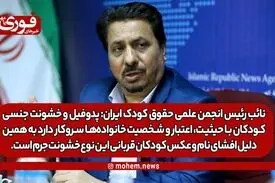 نائب رئیس انجمن علمی حقوق کودک ایران: پدوفیل و خشونت جنسی کودکان با حیثیت، اعتبار و شخصیت خانواده‌ها سروکار دارد به همین دلیل افشای نام و عکس کودکان قربانی این نوع خشونت جرم است.