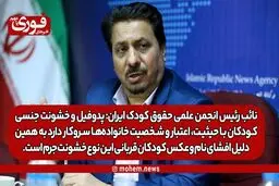 نائب رئیس انجمن علمی حقوق کودک ایران: پدوفیل و خشونت جنسی کودکان با حیثیت، اعتبار و شخصیت خانواده‌ها سروکار دارد به همین دلیل افشای نام و عکس کودکان قربانی این نوع خشونت جرم است.