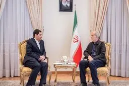 مخبر با پزشکیان دیدار کرد/ ارائه گزارش امور جاری کشور