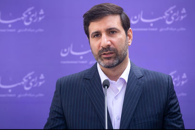 طحان‌نظیف: با تنفیذ حکم اقدامات رئیس جمهور قانونی می‌شود