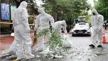 بالن زباله‌های کره شمالی در کاخ ریاست جمهوری کره جنوبی فرود آمد