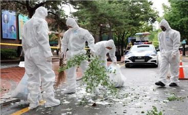 بالن زباله‌های کره شمالی در کاخ ریاست جمهوری کره جنوبی فرود آمد