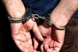 کلاهبرداری در قالب سرمایه‌گذاری با ۳۰ شاکی