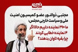 عضو کمیسیون امنیت ملی و سیاست خارجی مجلس: ما ۲۹۰ نماینده داریم حالا اگر ۴ نماینده خطایی کردند، چرا بقیه تاوان بدهند؟