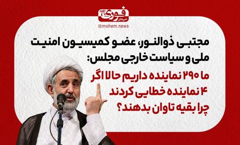 عضو کمیسیون امنیت ملی و سیاست خارجی مجلس: ما ۲۹۰ نماینده داریم حالا اگر ۴ نماینده خطایی کردند، چرا بقیه تاوان بدهند؟