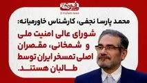 نجفی، کارشناس خاورمیانه: شمخانی و شورای عالی امنیت ملی، مقصران اصلی تمسخر ایران توسط طالبان هستند.