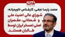 نجفی، کارشناس خاورمیانه: شمخانی و شورای عالی امنیت ملی، مقصران اصلی تمسخر ایران توسط طالبان هستند.