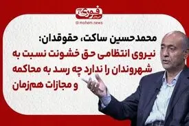 ساکت، حقوقدان: نیروی انتظامی حق خشونت نسبت به شهروندان را ندارد چه رسد به محاکمه و مجازات هم‌زمان