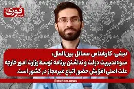 نجفی، کارشناس بین‌الملل: سوء‌مدیریت دولت و نداشتن برنامه توسط وزارت امور خارجه علت اصلی افزایش حضور اتباع غیر‌مجاز در کشور است.
