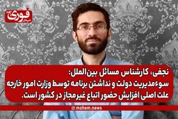 نجفی، کارشناس بین‌الملل: سوء‌مدیریت دولت و نداشتن برنامه توسط وزارت امور خارجه علت اصلی افزایش حضور اتباع غیر‌مجاز در کشور است.