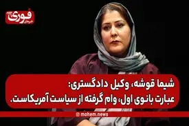 شیما قوشه، وکیل دادگستری: عبارت بانوی اول، وام گرفته از سیاست آمریکاست.