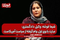 شیما قوشه، وکیل دادگستری: عبارت بانوی اول، وام گرفته از سیاست آمریکاست.