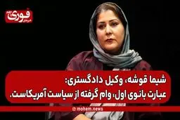 شیما قوشه، وکیل دادگستری: عبارت بانوی اول، وام گرفته از سیاست آمریکاست.