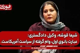 شیما قوشه، وکیل دادگستری: عبارت بانوی اول، وام گرفته از سیاست آمریکاست.