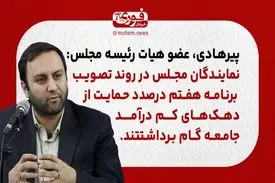 پیرهادی، عضو هیات رئیسه مجلس: نمایندگان مجلس در روند تصویب برنامه هفتم درصدد حمایت از دهک‌های کم درآمد جامعه گام برداشتند.